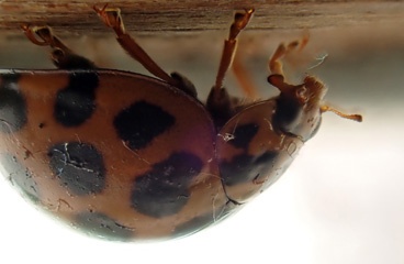 PC142487a.jpg